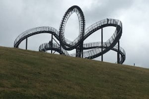 Tiger and Turtle Tiger and Turtle
