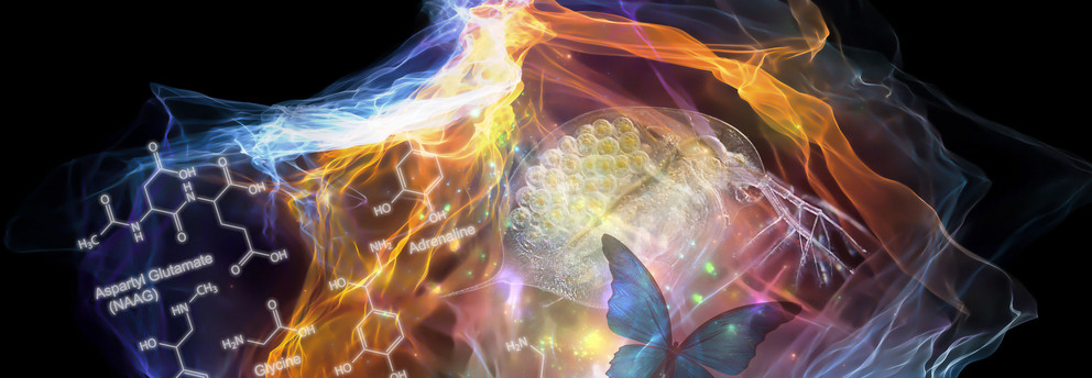 Header - Wolke Bunte Grafik einer Wolke mit verschiedenen Symbolen aus der Wissenschaft, z.B. Zellen und chemische Elemente, dunkler Hintergrund